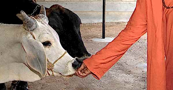 Karma Yoga
